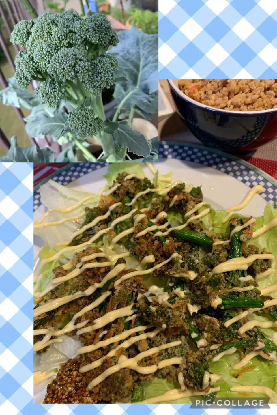 ベランダブロッコリーマヨネーズソテー🥦|シュトママさん