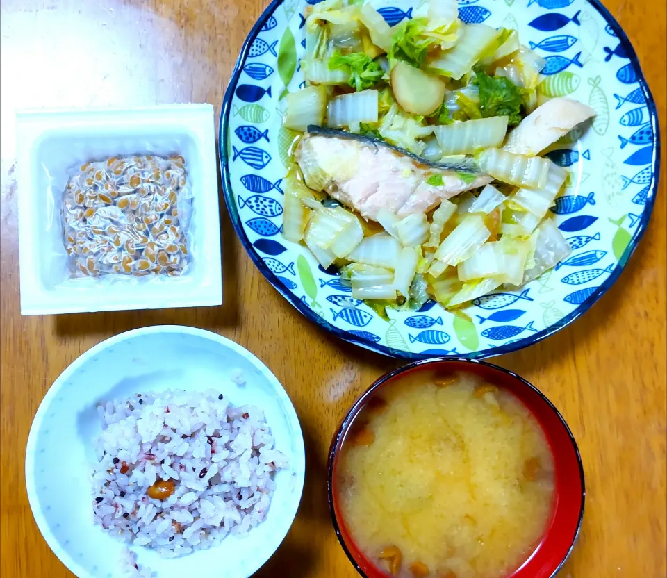 １１月４日　白菜と鮭の生姜煮　納豆　なめことわかめのお味噌汁|いもこ。さん