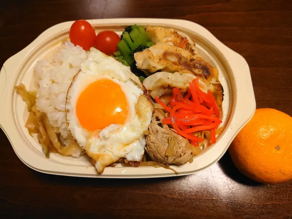 Snapdishの料理写真:中華弁当（日高屋製）|りょーさん