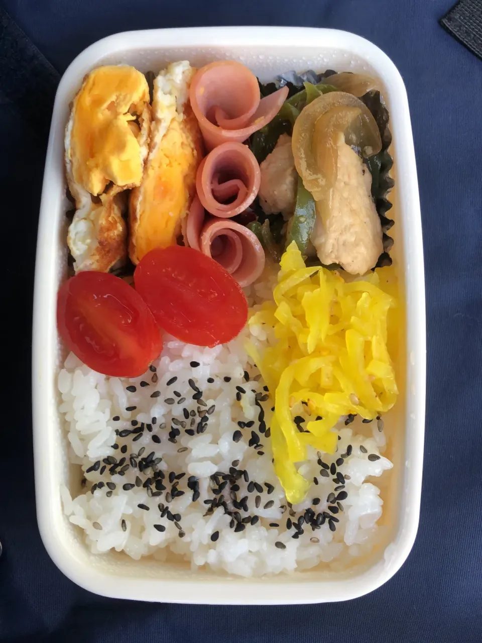 農部のピーマンで青椒肉絲弁当【昼めし】|超絶トルーマン石6さん