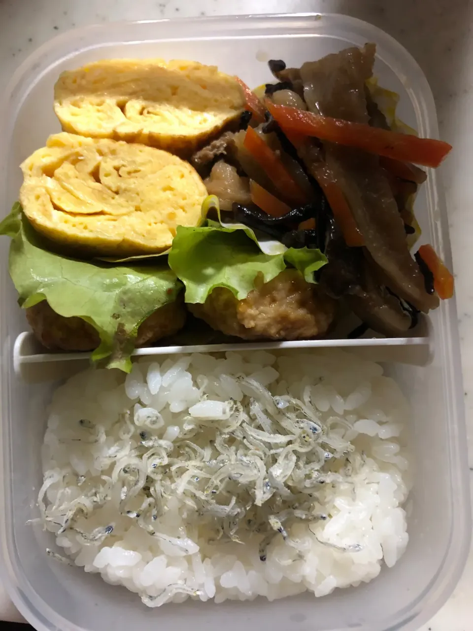 今日のお弁当🍱|ころりんさん