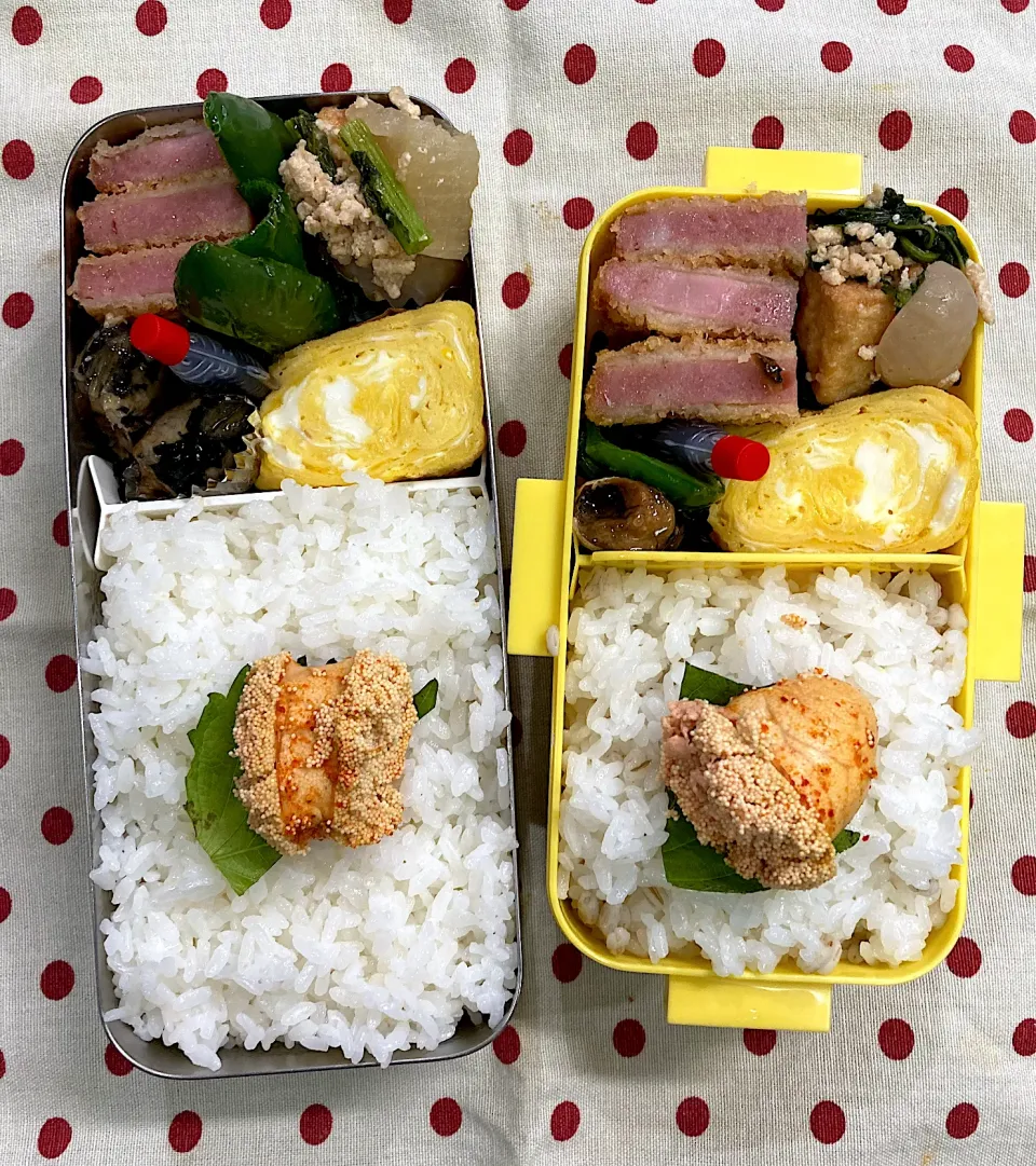 11月17日　今日も秋晴れ弁当🍱|sakuramochiさん