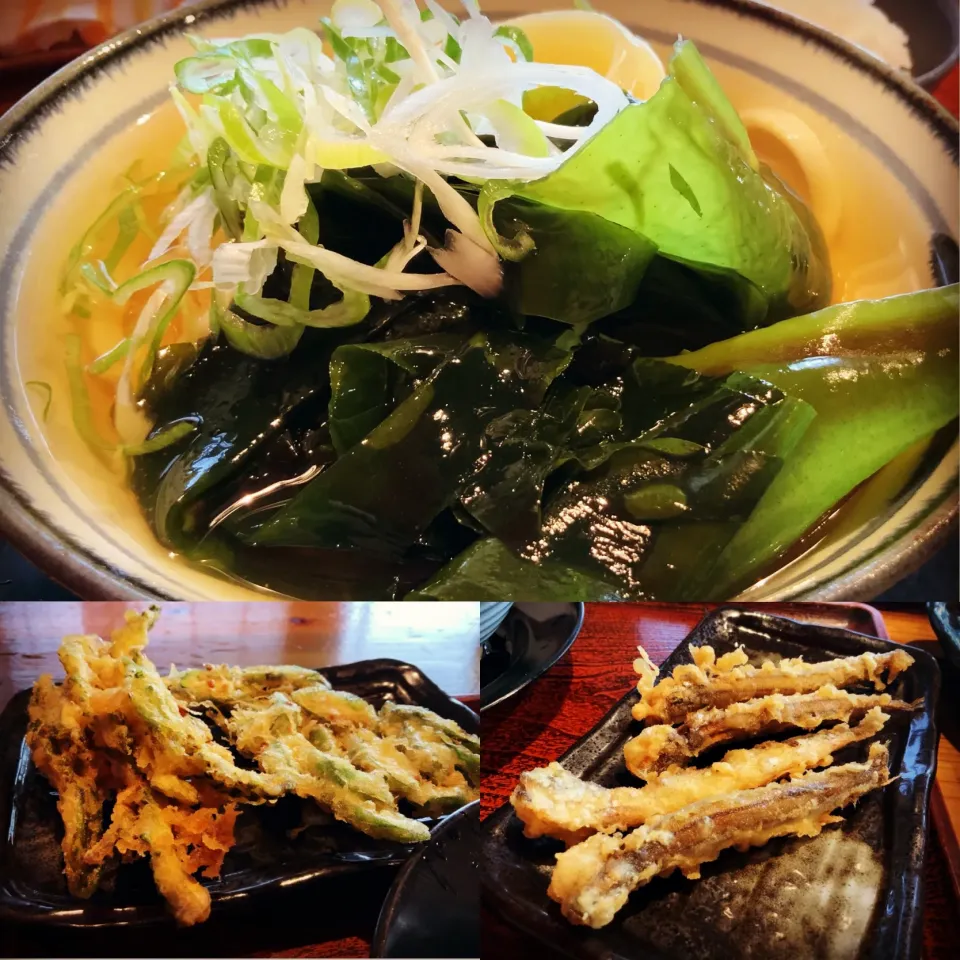 Snapdishの料理写真:グルメ紹介『西宮山口町にある手打ちうどんいわしや』　#料理研究家指宿さゆり|【公式】料理研究家　指宿さゆり≫ｽﾀｼﾞｵ（ｽﾀｯﾌ運営）さん