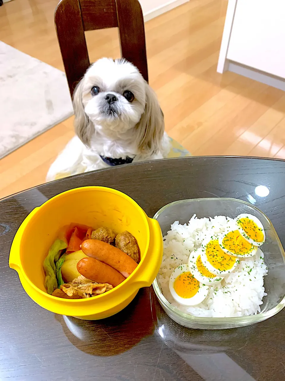 11月19日　プクパパお弁当|プクママさん