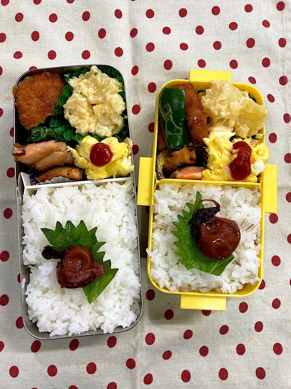 11月19日　週末弁当🍱|sakuramochiさん