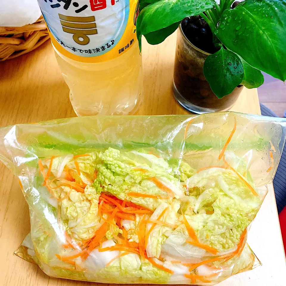 Snapdishの料理写真:白菜の甘酢漬け|akkoさん