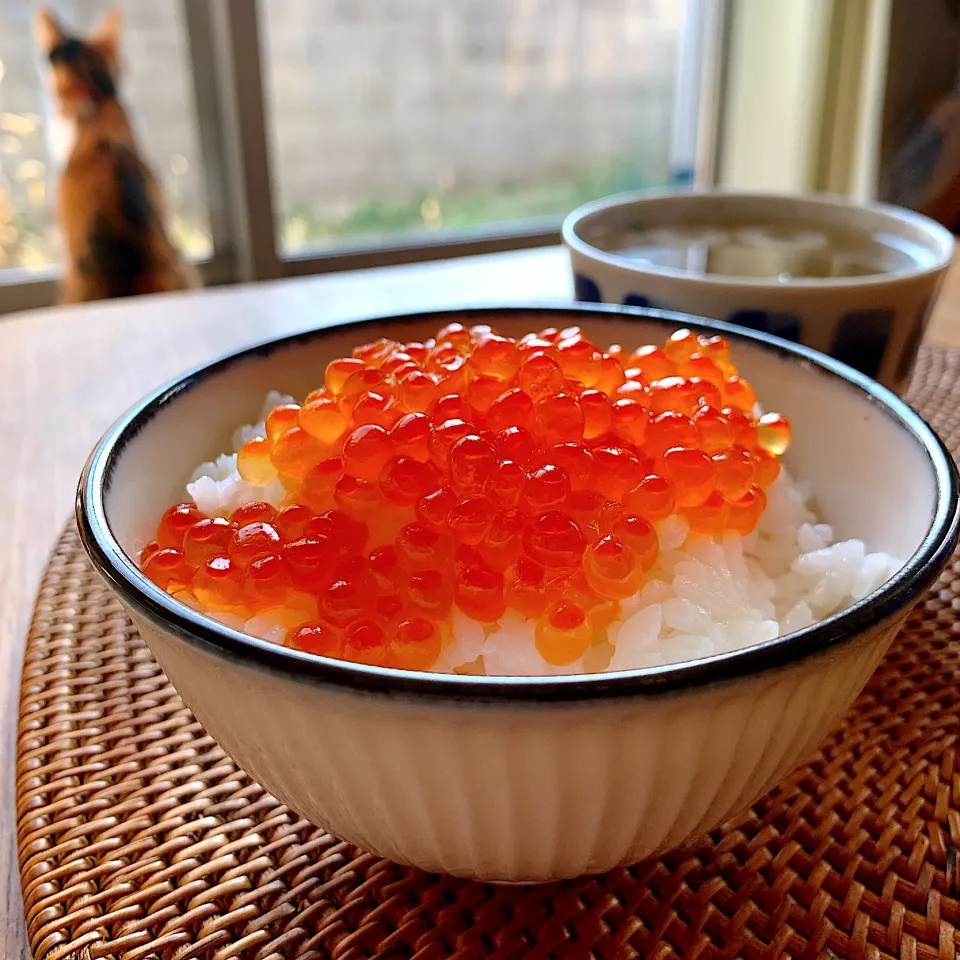 いくら丼✴︎|あやみんさん