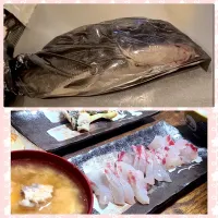 釣りたて黒鯛🎣 まな板サイズ３０㌢以上ある立派な黒鯛を頂いた！生きてるし 出刃包丁ないし アジ程度しか捌いた事ないし…今ある包丁を研いで ウロコと骨と格闘しながら 捌きました😅 刺身、塩焼き、あら汁に！ びっくりするぐらい美味しかったです|sakiさん