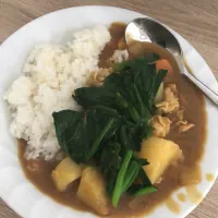 Snapdishの料理写真:ほうれん草カレー|ちっちゃんさん