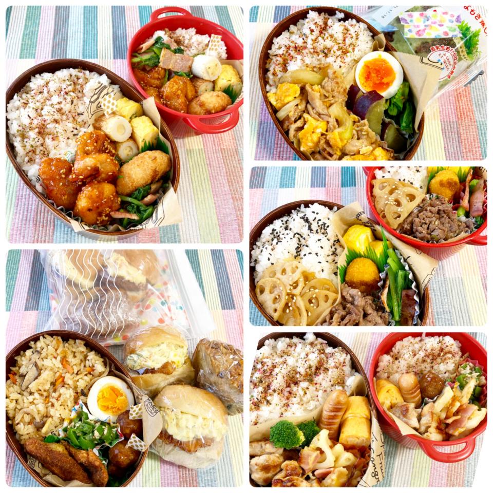 男子高校生弁当(No481~485)
