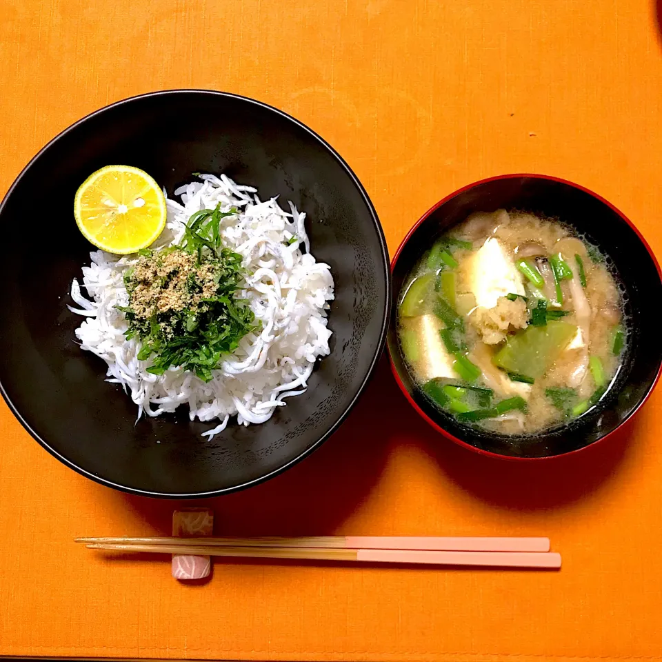 釜揚げしらす丼と、豚汁|ゼニコさん