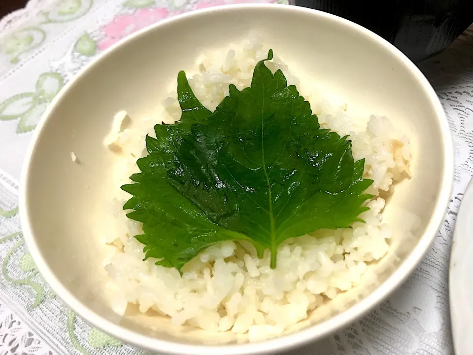 大葉の浅漬け丼|イシュタール石井さん