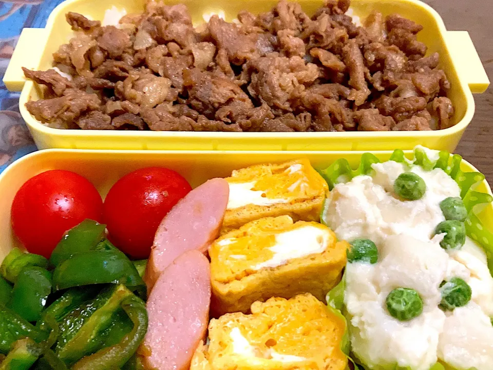 肉乗せ弁当|料理嫌いを直したいさん