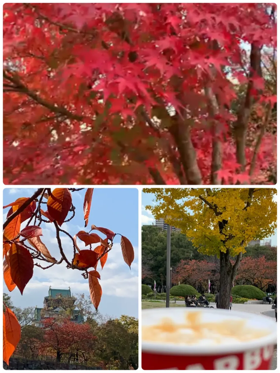 大阪城公園も人が少ないです。皆さんのーんびりしてます🍁🍁|tamemitiさん