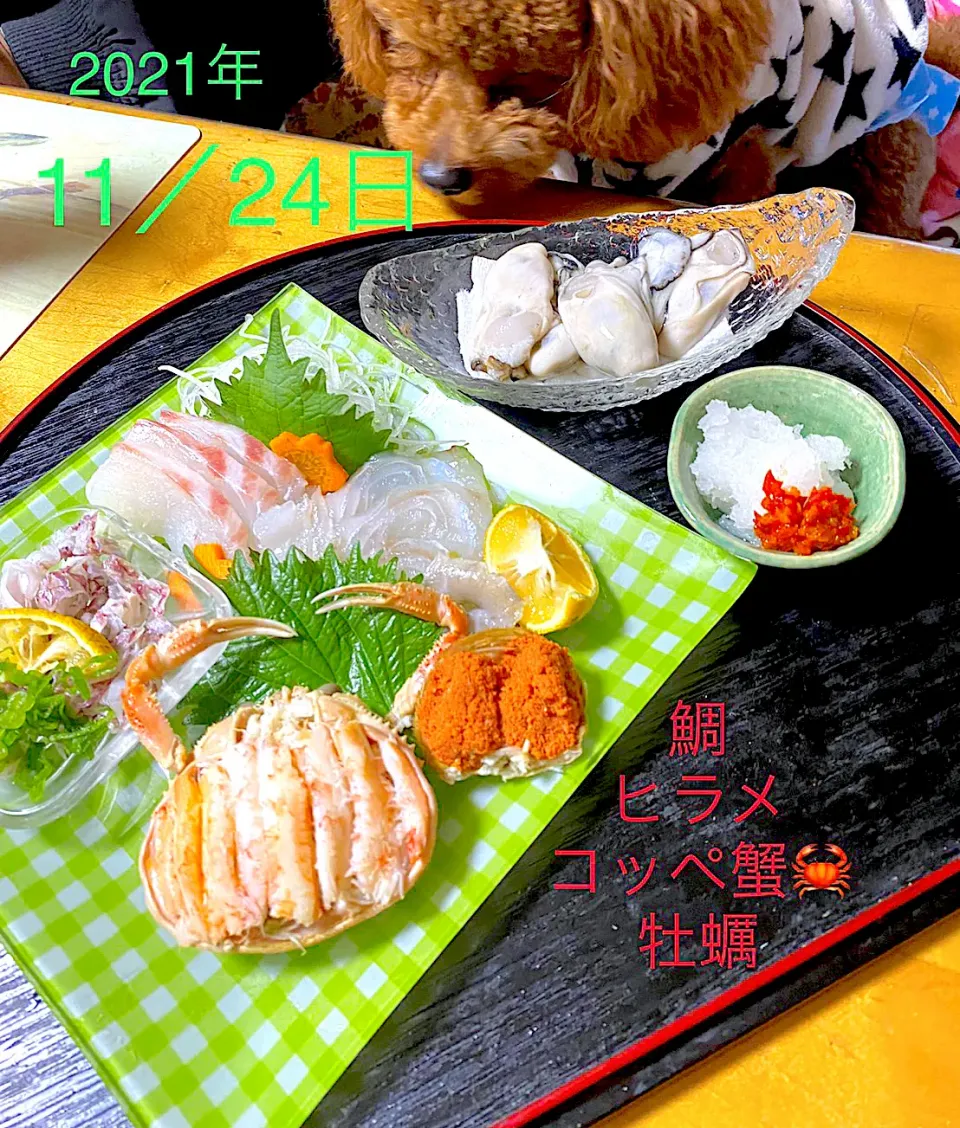 コッペ🦀牡蠣🦪鯛造り🐠|Ameriさん