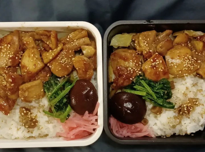 キャベツ炒めの上の鶏照焼弁当|ぱいんてーるさん