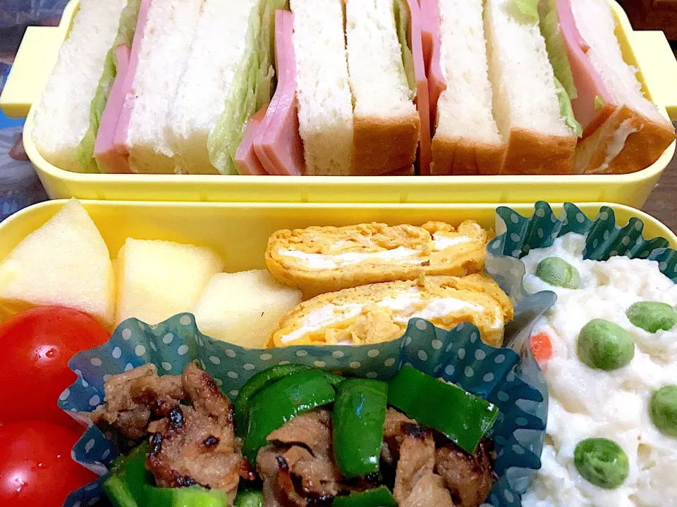 サンドウィッチ弁当|料理嫌いを直したいさん