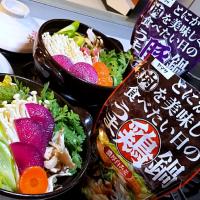 北海道野菜たっぷり鍋
真ん中の赤いのは紅大根