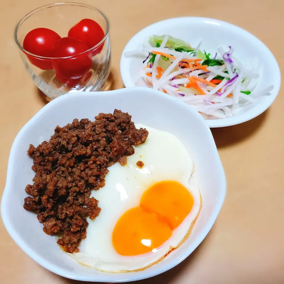 Snapdishの料理写真:そぼろ丼|early tasteさん