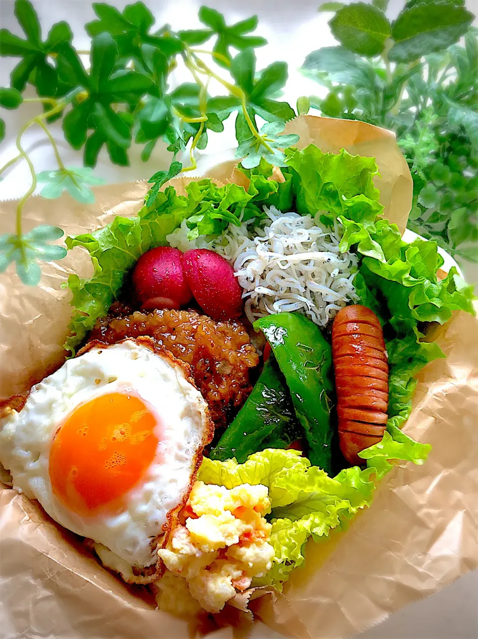 ハンバーグとジャコのお弁当🍱|みゆきさん