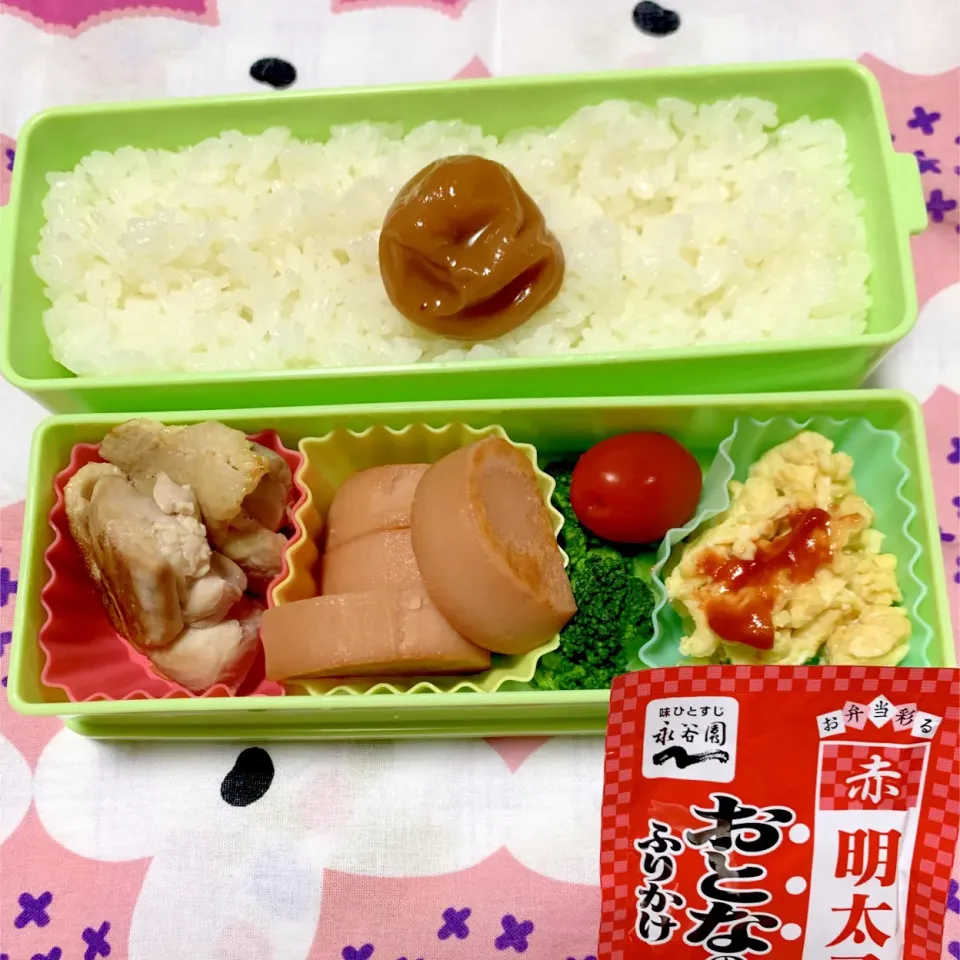 娘のお弁当11/29|iguigupopさん