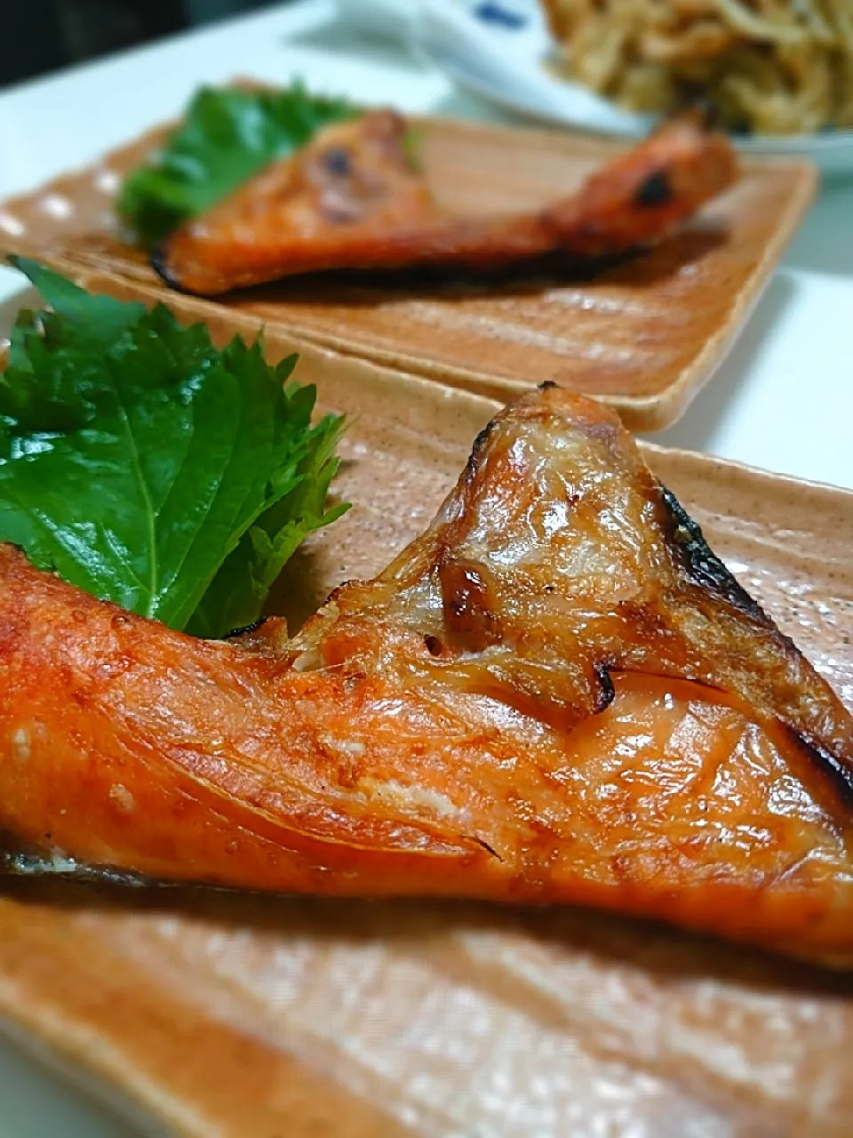 鮭カマ|闇夜の狸さん