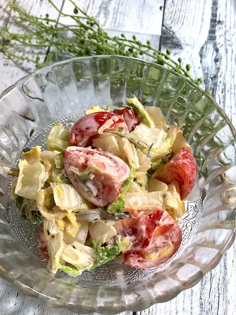 出汁をとった後の煮干し、昆布、鰹節の白菜漬けとトマトのサラダ🍅🍅🍅|🌺🌺Foodie🌺🌺さん