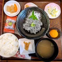 Snapdishの料理写真:生しらす丼|ゆずんさん