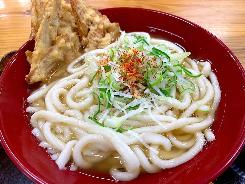 ごぼう天うどん|ぶりっとさん