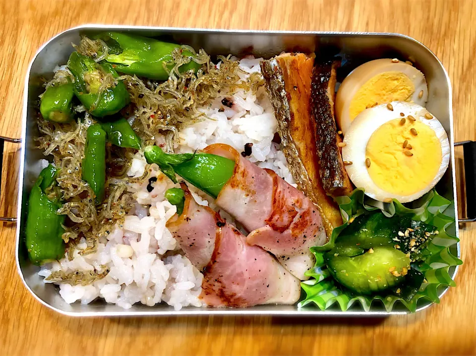 Snapdishの料理写真:サラ弁　　　　　　　　　　　　　　　　　　シシトウとちりめんじゃこ炒め　味付け卵　スナップえんどうのベーコン巻き　焼き鮭　胡瓜の酢物|じゅんさんさん