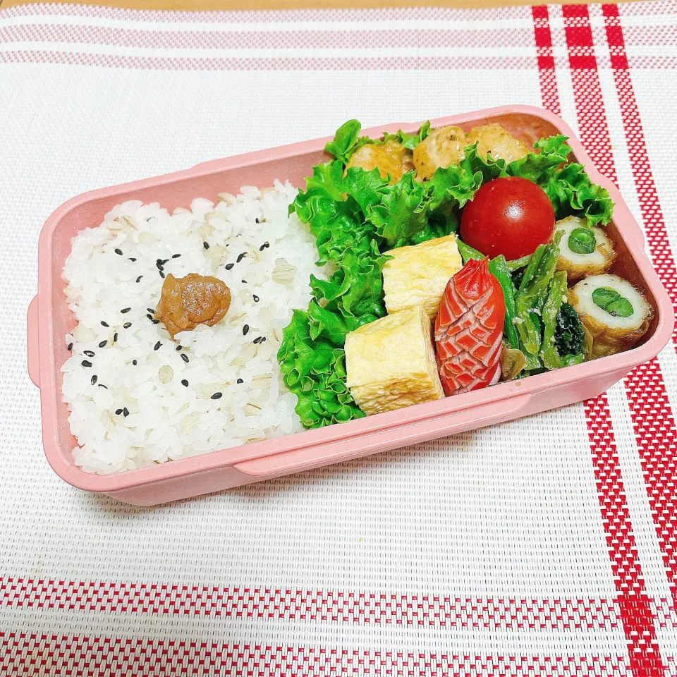 Snapdishの料理写真:2021/12/2 今日のお弁当|kimiさん