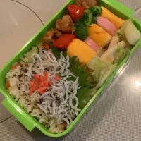 Snapdishの料理写真:今日の弁当|ぽぽんさん