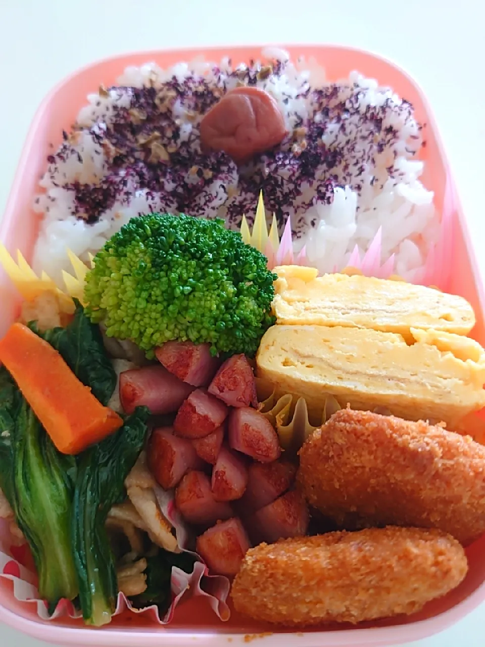 夜食弁当|闇夜の狸さん