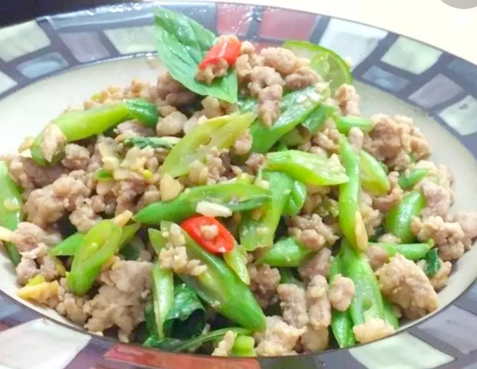 泰式肉碎炒四季豆
Thai Style (fourseasons Beans) with Minced Pork|奇魂😈さん