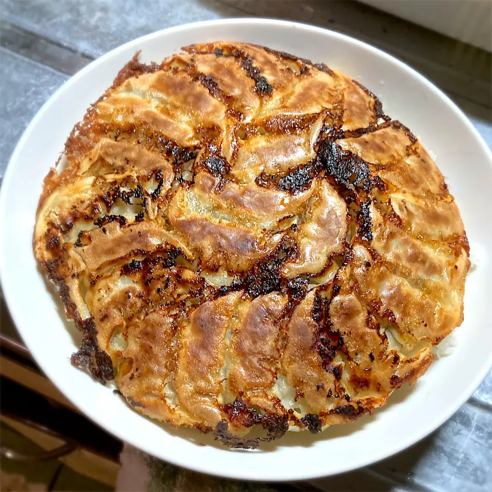 今夜は、九州黒豚餃子ライスを頂きました🥟😄👍🎵|ギムレットさん