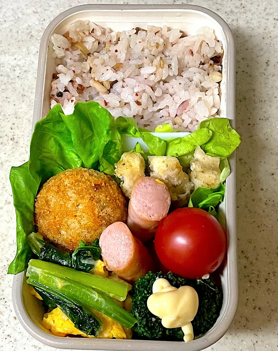 Snapdishの料理写真:かぼちゃコロッケ弁当|besさん