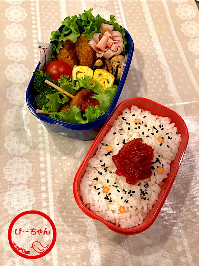 Snapdishの料理写真:次女☆専門学生弁当😊253日目|☆ぴ〜ちゃん☆さん