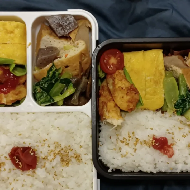 Snapdishの料理写真:だし巻き卵弁当|ぱいんてーるさん