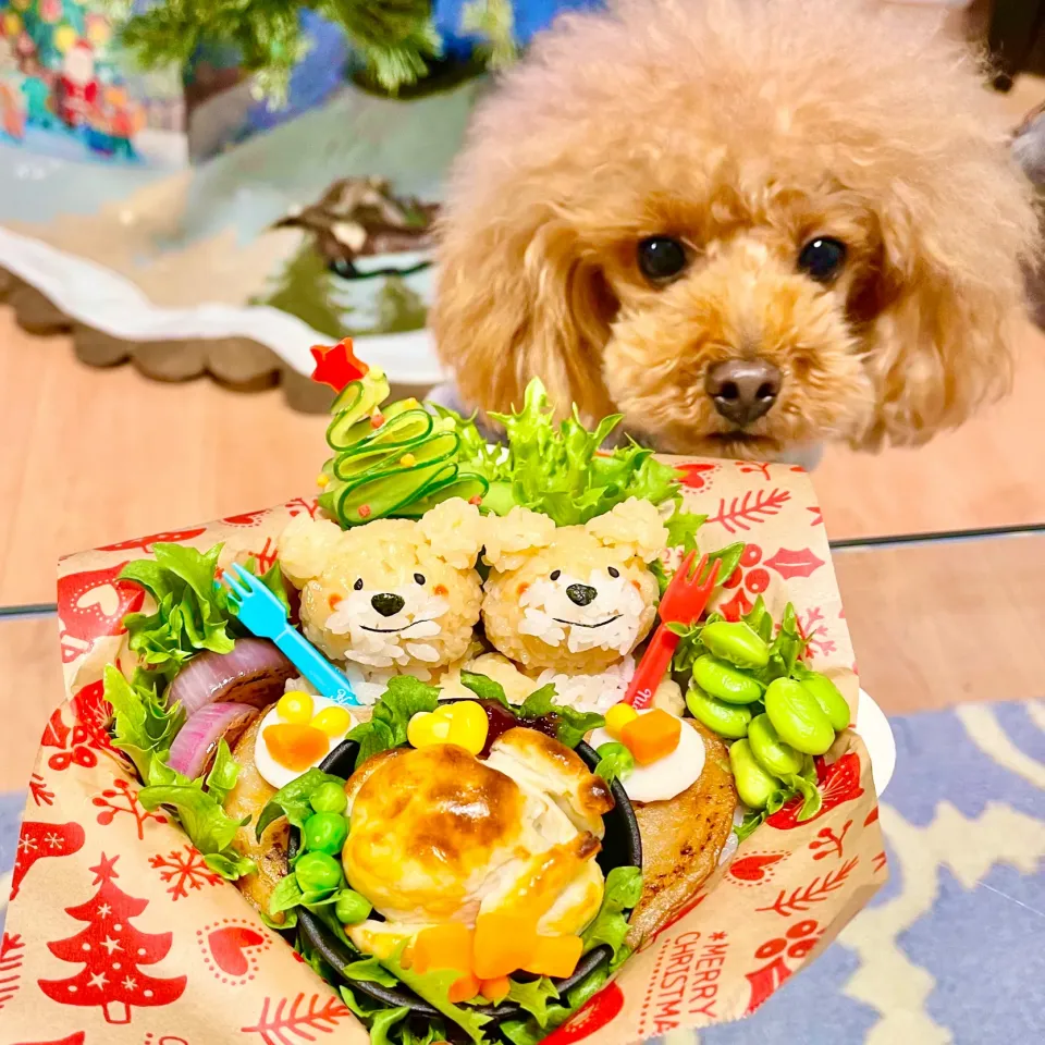 🎄🧸GF森のクマHolidayDinner弁当🧸🎄|The Reinhartsさん