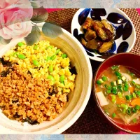 Snapdishの料理写真:そぼろ丼とけんちん汁|ちゅんださん