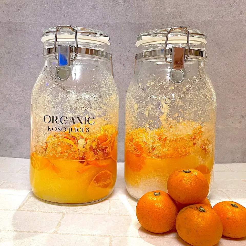 オーガニック温州みかん🍊酵素ジュース仕込み✨|みぃこさん