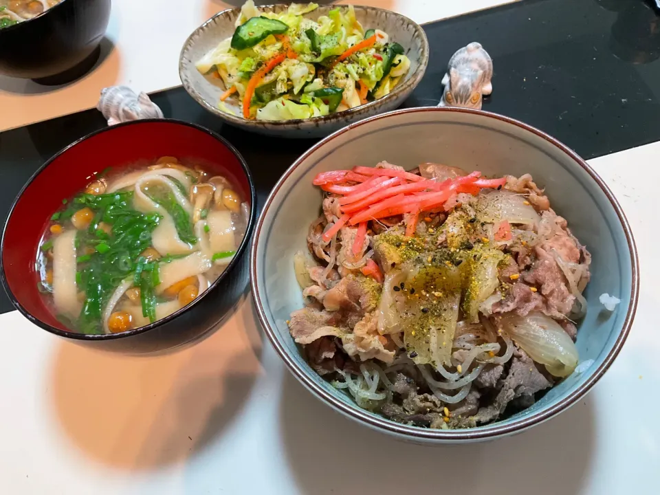 牛丼とナメコと板麩のお味噌汁にキャベツの浅漬けで週末の晩御飯。
見えませんが、ご飯は土鍋で炊いたおこげご飯。|Takeshi  Nagakiさん