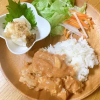 Snapdishの料理写真:万能味ソースでハッシュドポーク|美腸マイスターtomiさん