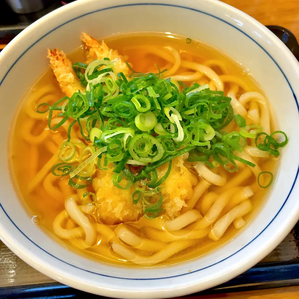 海老天うどん|T. Wonderさん