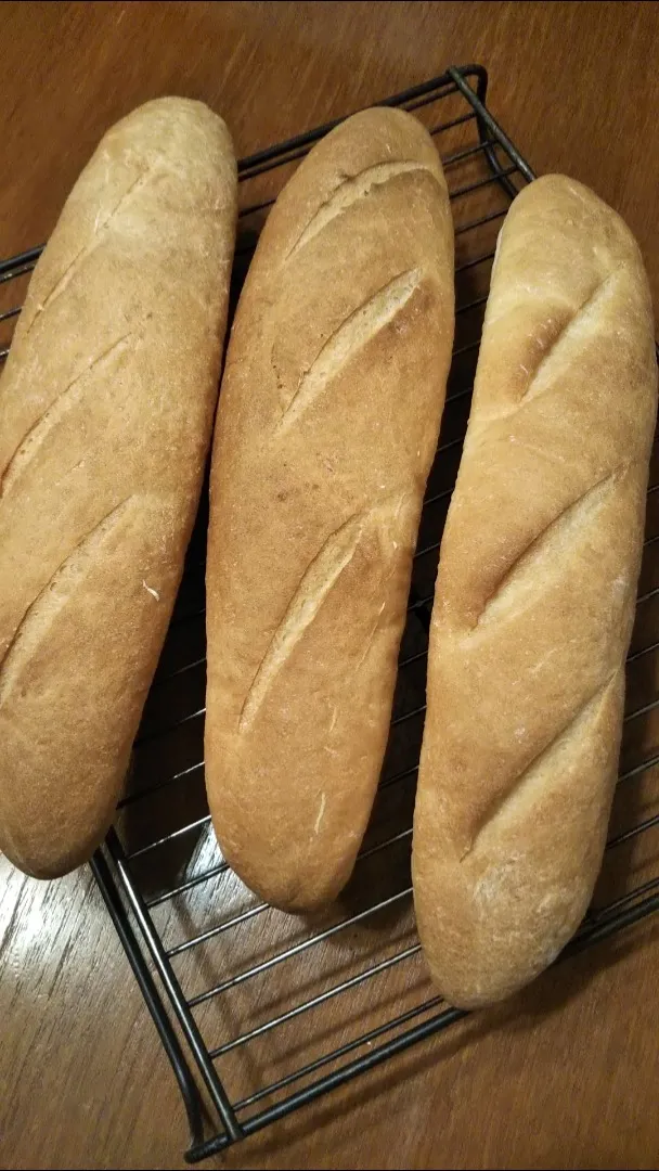 🥖フランスパン🥖|きみちさん