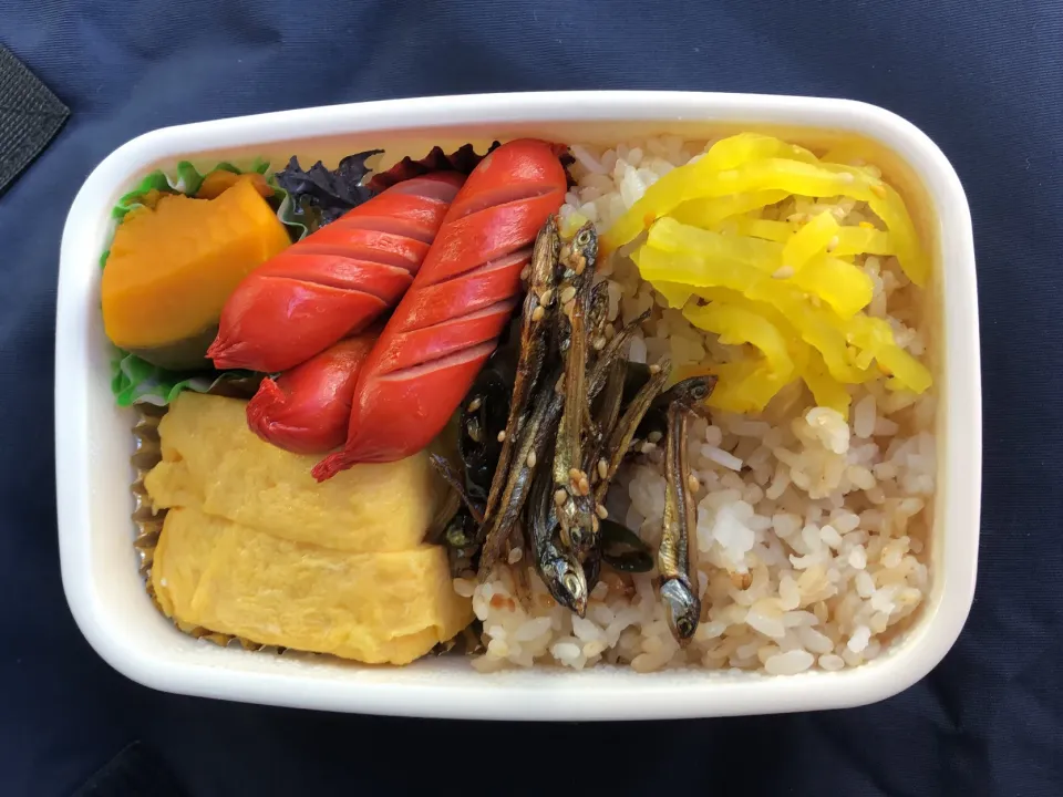 激辛ジャコが止まらん！酒のつまみ弁当【昼めし】|超絶トルーマン石6さん