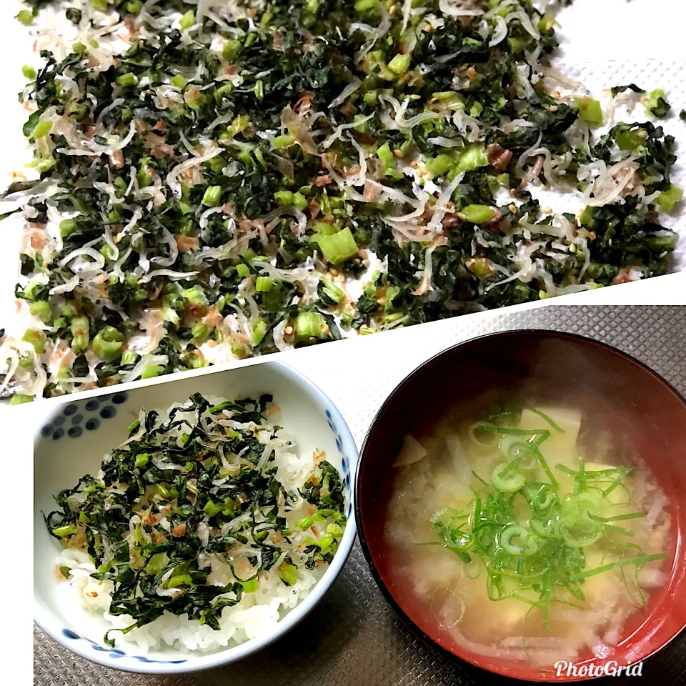 Snapdishの料理写真:大根菜っ葉で 生ふりかけを作ってみたよ🙂|ブンタさん