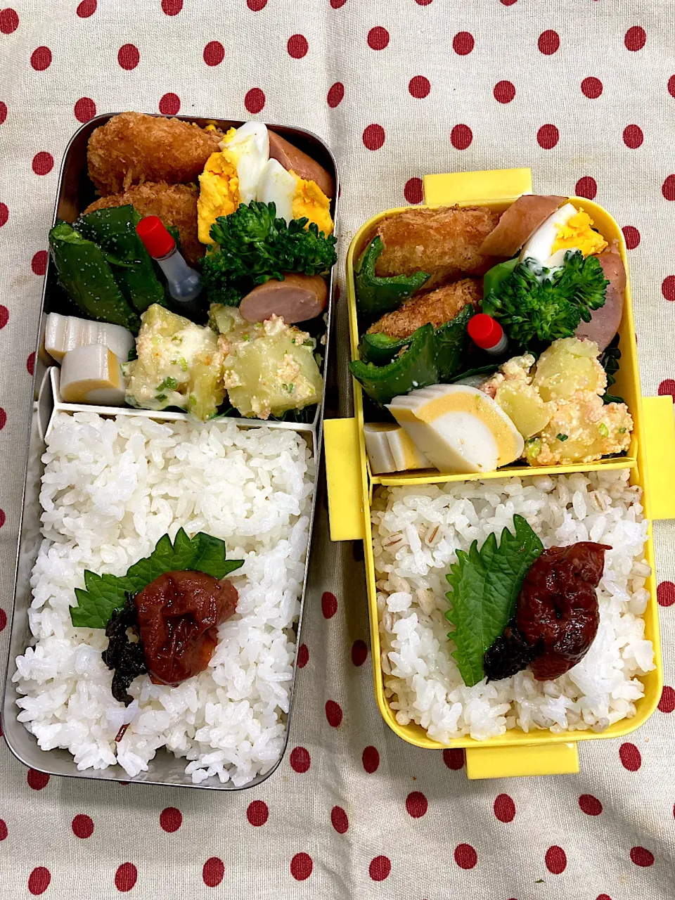 Snapdishの料理写真:12月15日　週の中日弁当🍱|sakuramochiさん