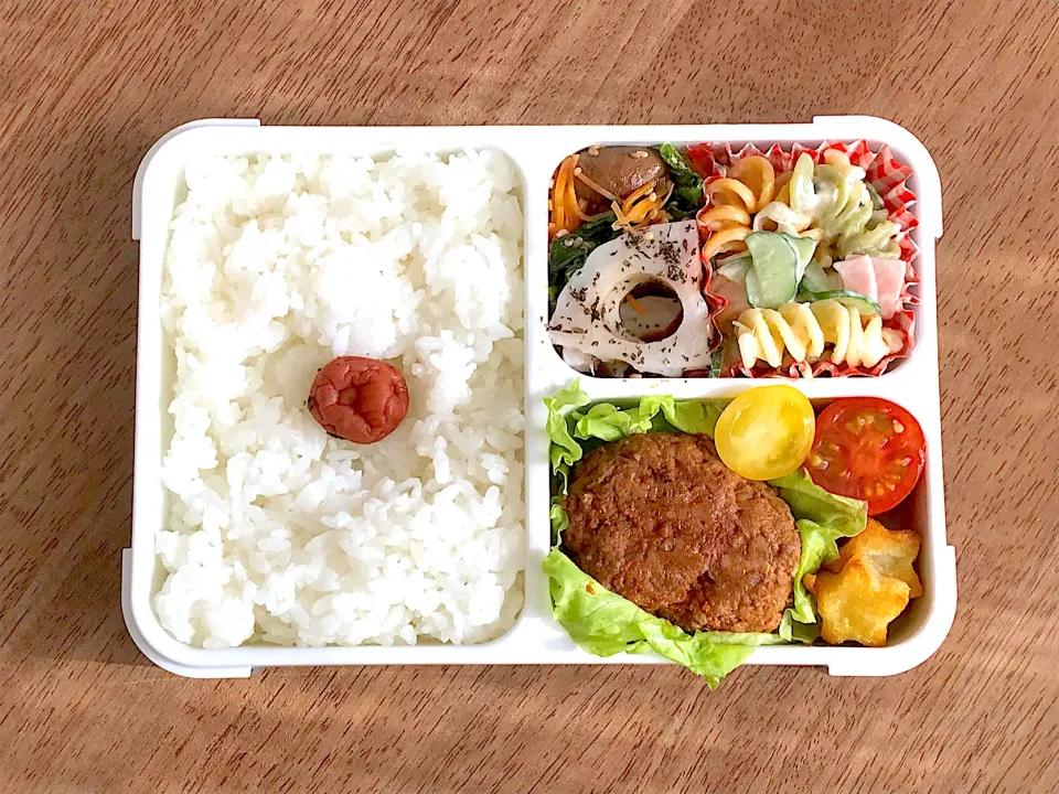 Snapdishの料理写真:煮込みハンバーグ弁当|703さん