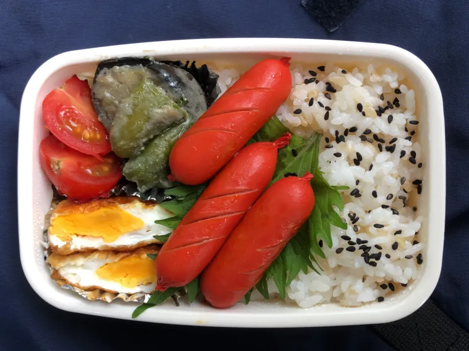 指弁当【昼めし】|超絶トルーマン石6さん